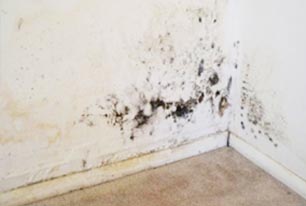 Terrace repairing in Gujarat India